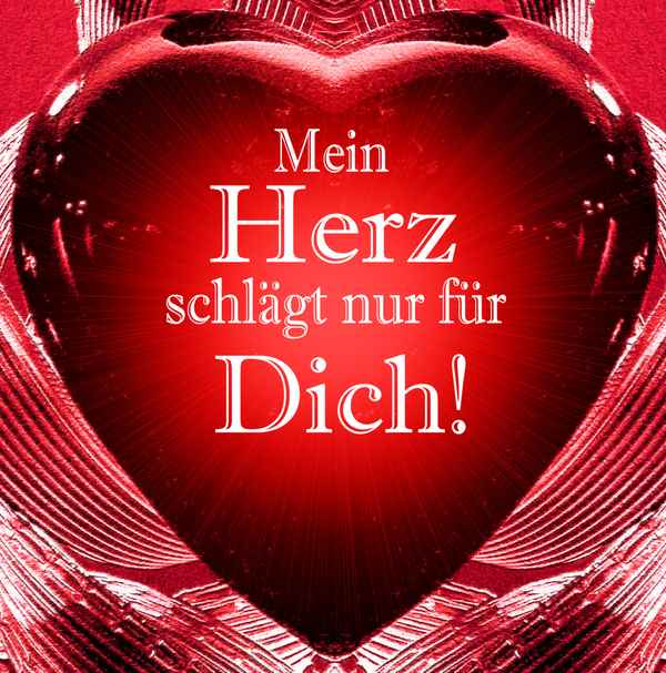 HERZSCHLAG DER LIEBE