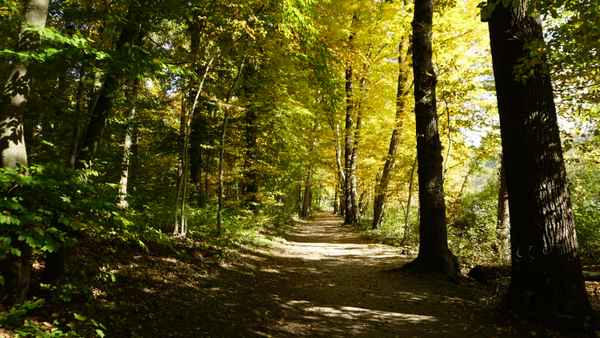 Herbststimmung