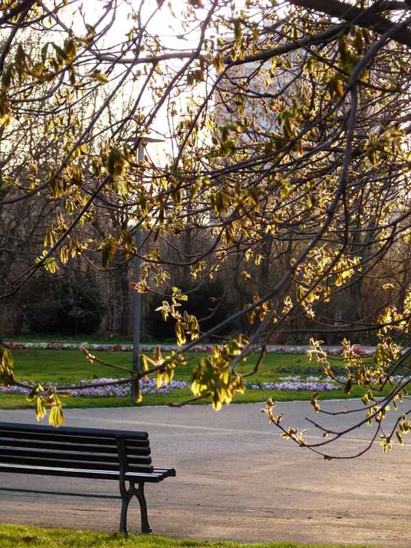 Angekommen im Frühling