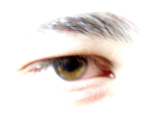Auge