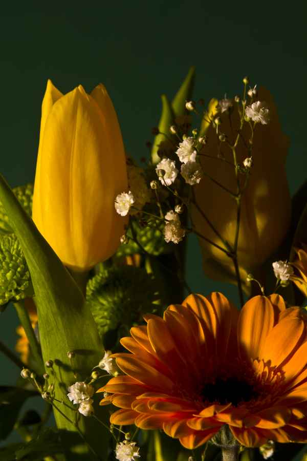 blumenstrauß