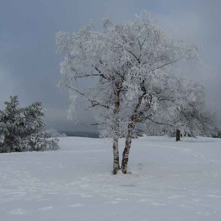 Winterberg