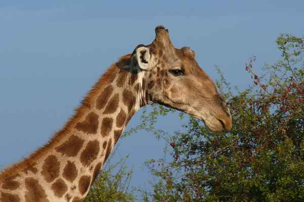 Begegnung in Namibia