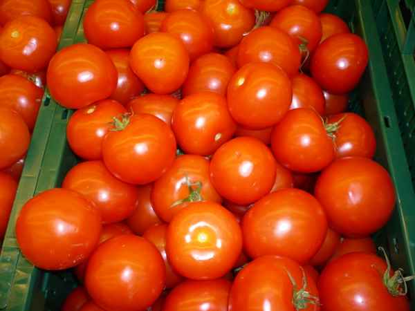 Tomaten