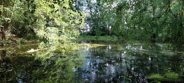 Am Langen Trödel lll