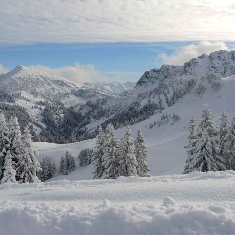 Winter in den Bergen 1