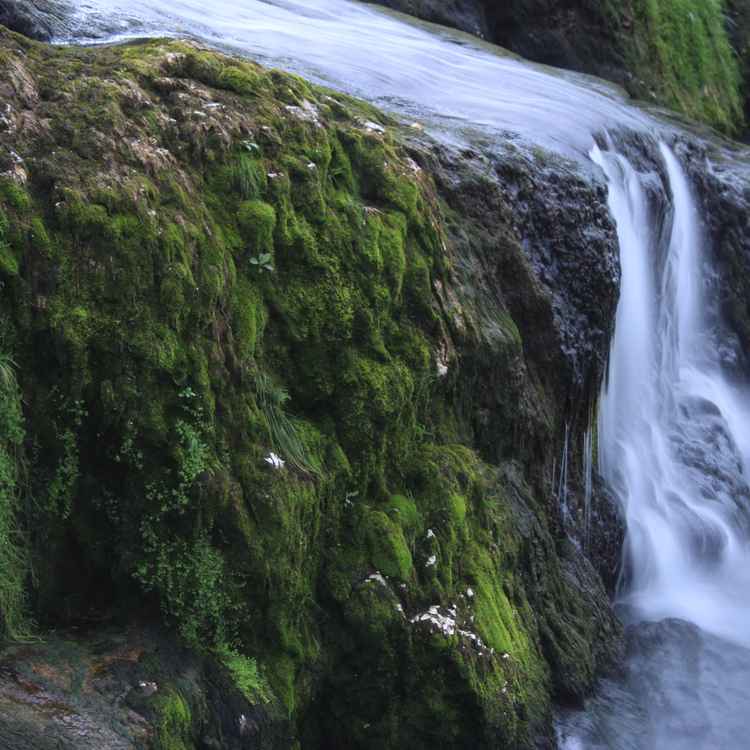 im Fluss der Zeit