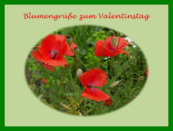 Blumengrüße