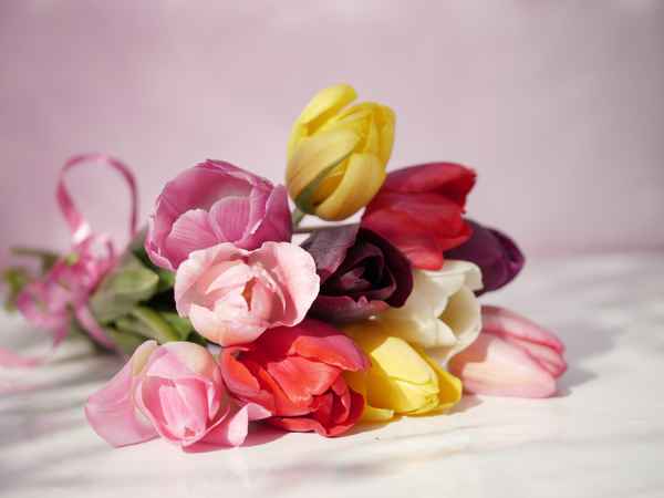 ein Strauß Tulpen . . .