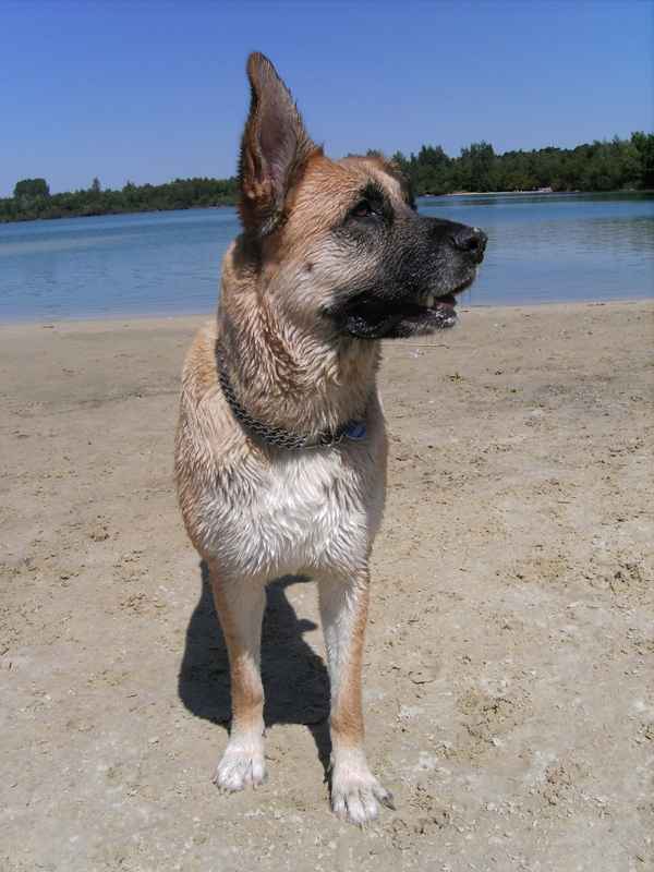 Marsha am See