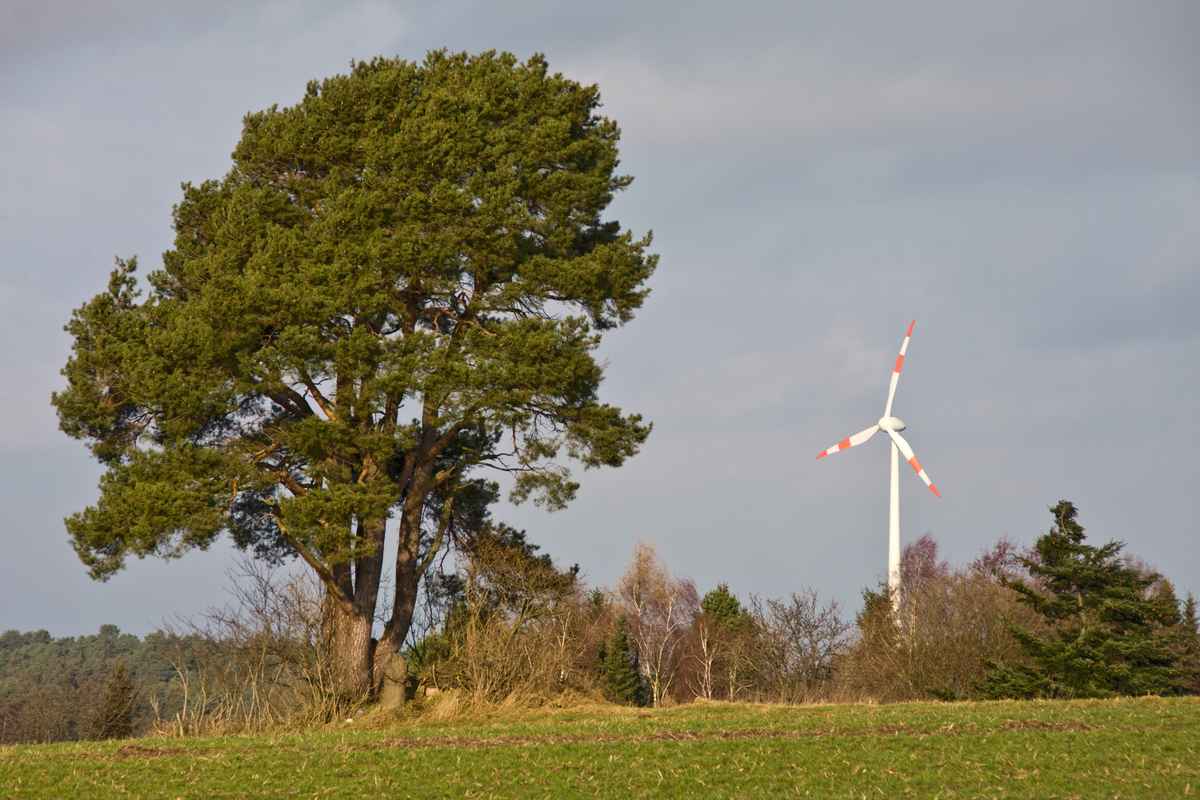 Naturkraft