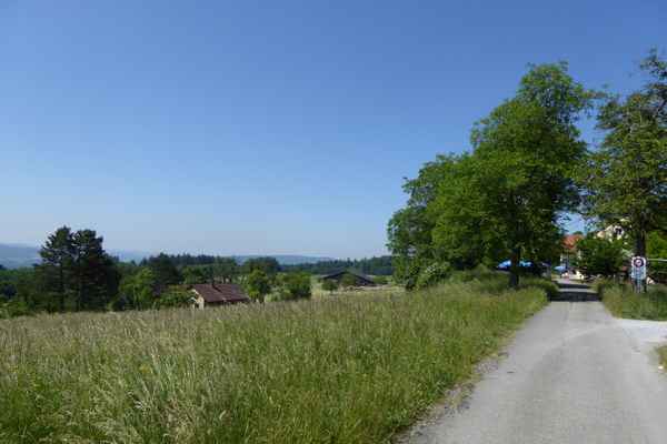 Streifzug über Land / 1