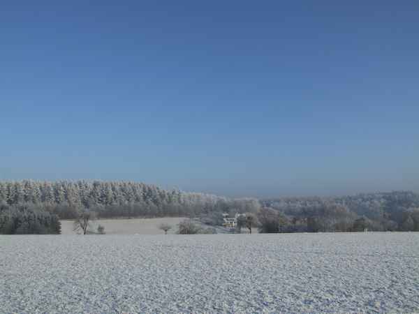 Winterreif im Odenwald, Serie 2