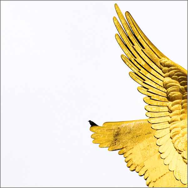 Goldene Schwingen