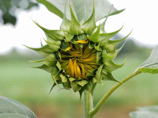 die freundliche im aufbruch