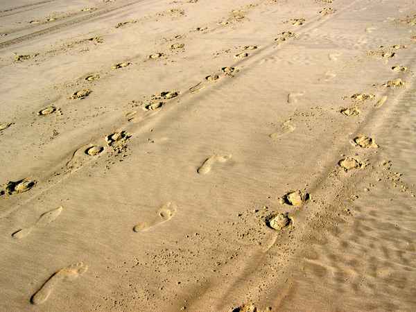 Spuren von Mensch & Tier