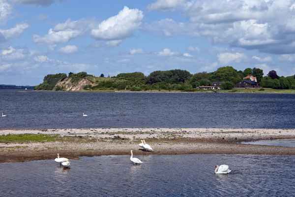 Naturschutzgebiet auf Holnis