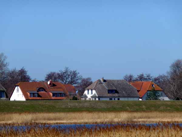 Hinterm Deich in Vitte