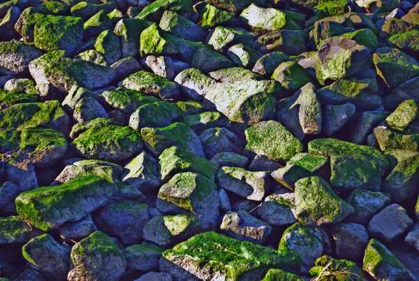 Steine am Hafen - HDR