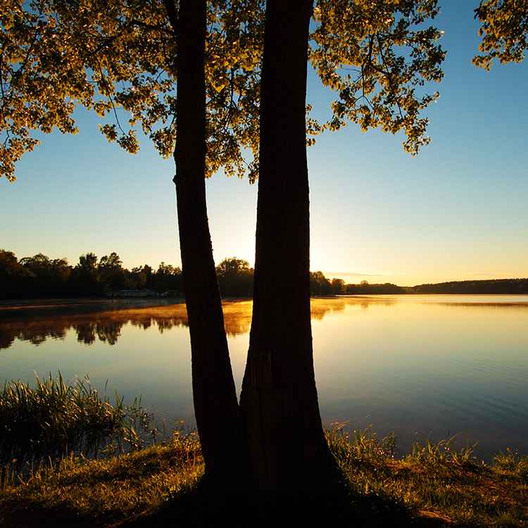 Maiabend am Weiher