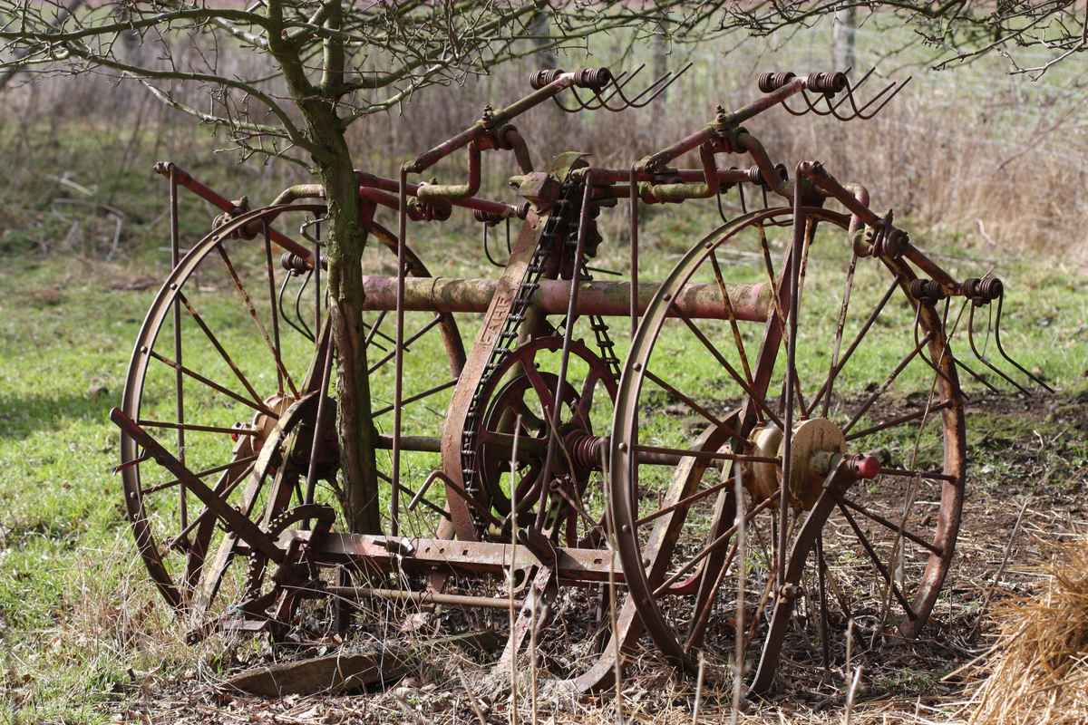 Landwirtschaftliches Gerät, schon länger nicht mehr benutzt