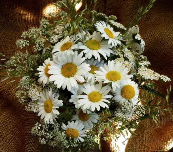 Wildblumenstrauß