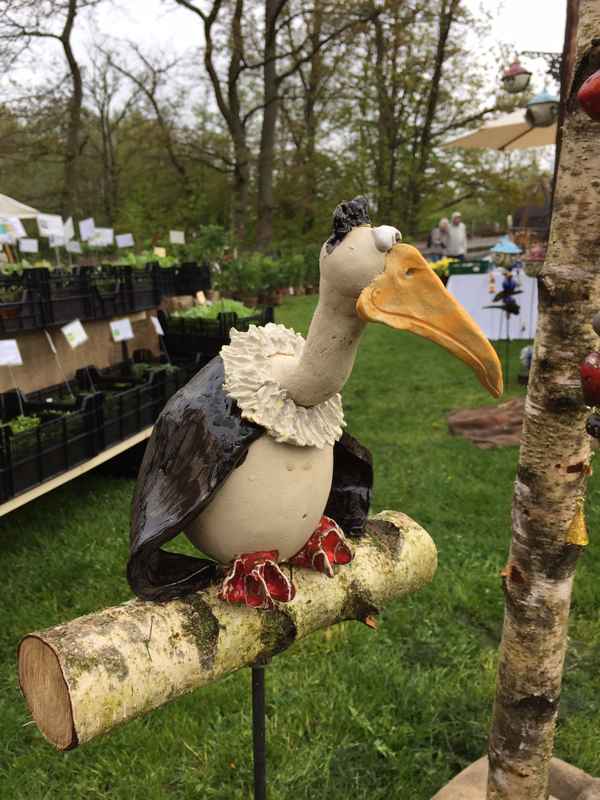 Geier beim Pflanzenmarkt im Hessenpark