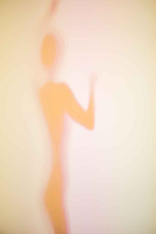 Weiche Silhouetten (beige) 04