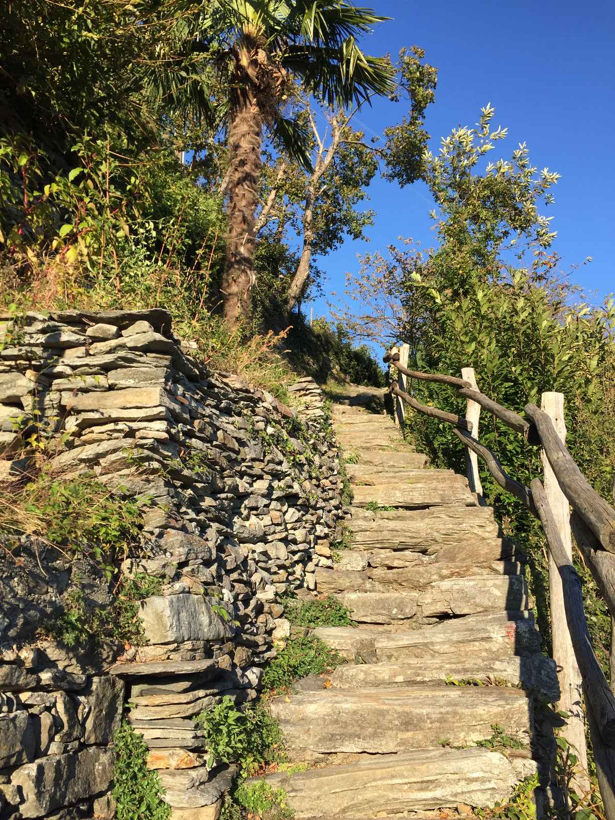 Steintreppe in Monte Carasso