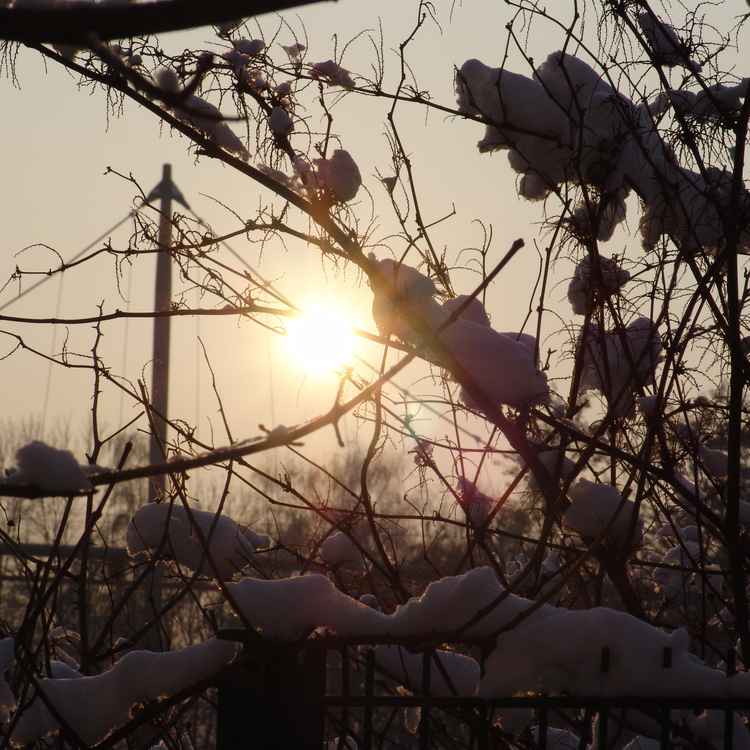 Winternachmittag im Ruhrgebiet
