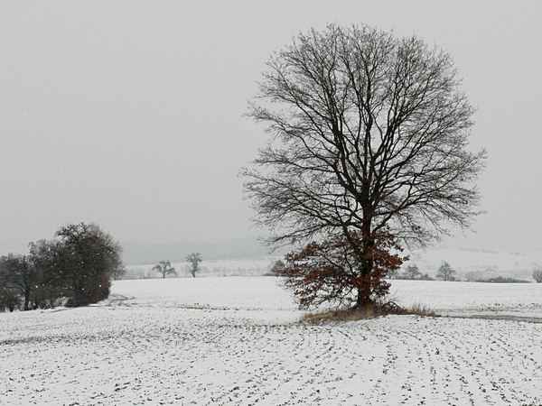 Schneetreiben