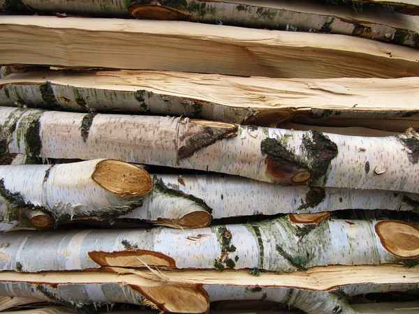 Birke für den Kamin