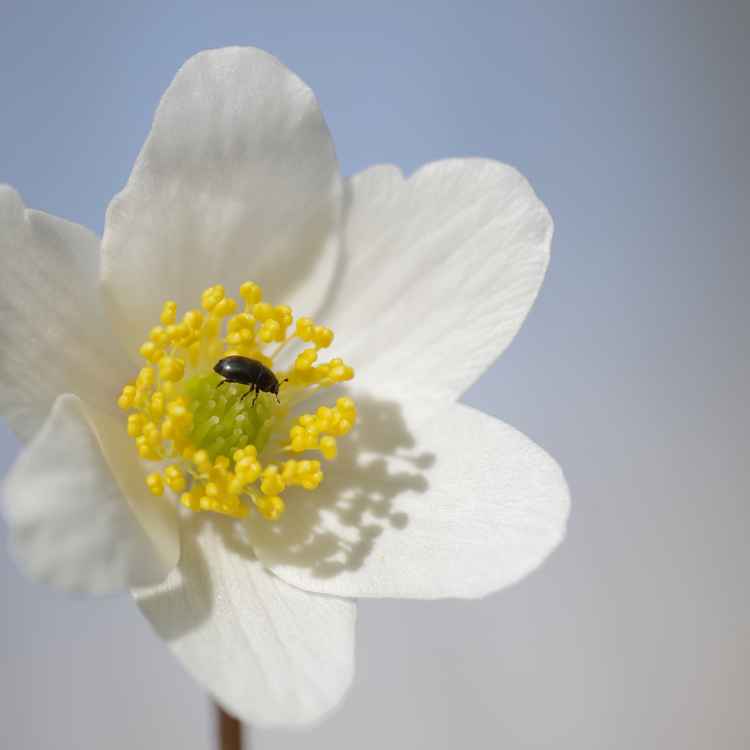 Der Frühling ist zurück