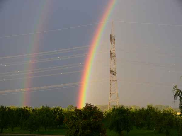 nach dem Gewitter