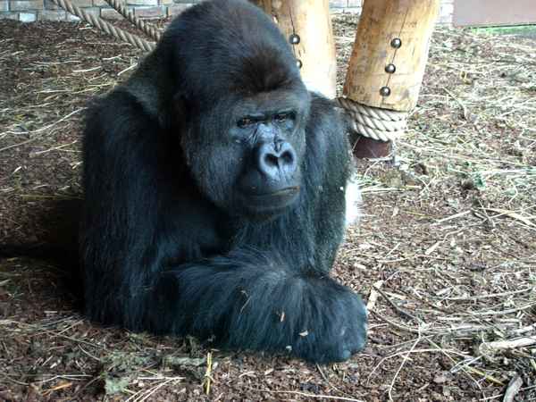 Was bekomme ich wohl zu essen????