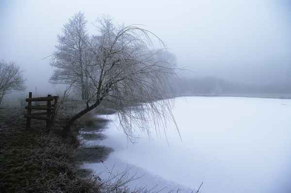 Frostiger Morgen