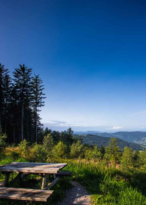 Wandern im Schwarzwald_hoch