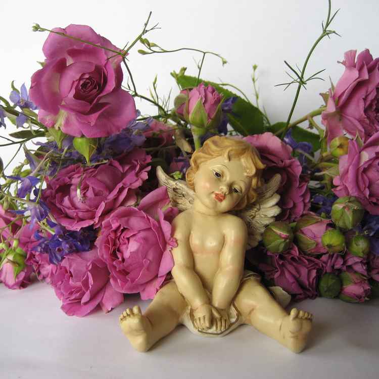 Engel und Rosen 3