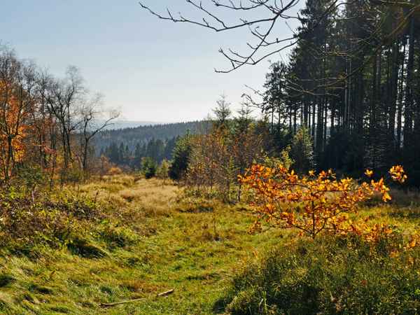 Herbst im Sauerland