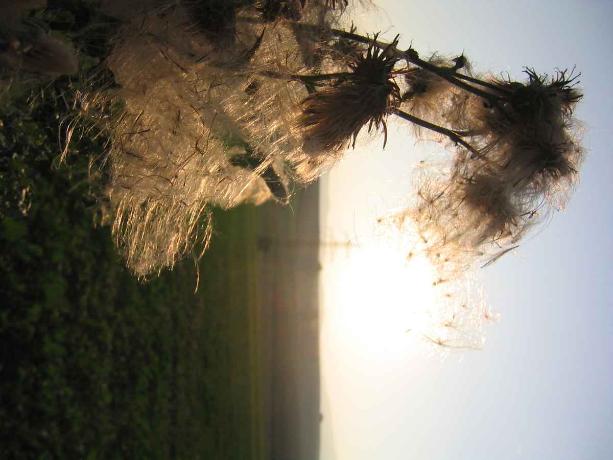 Herbstzauber