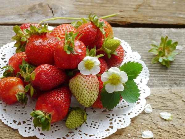 lecker, lecker . . .