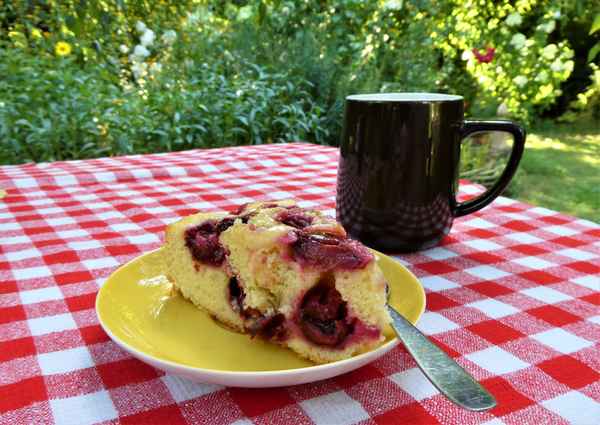 Kaffee und Kuchen im Garten