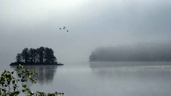 Morgennebel