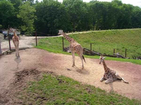 ZOOM Erlebniswelt - 31