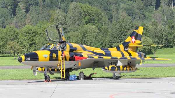 Tigerhunter am Boden