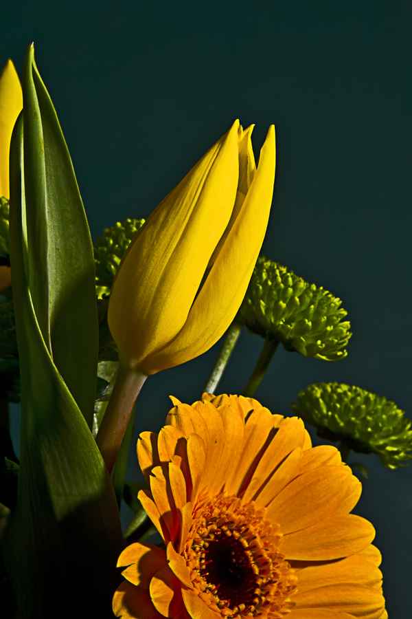 blumenstrauß 2