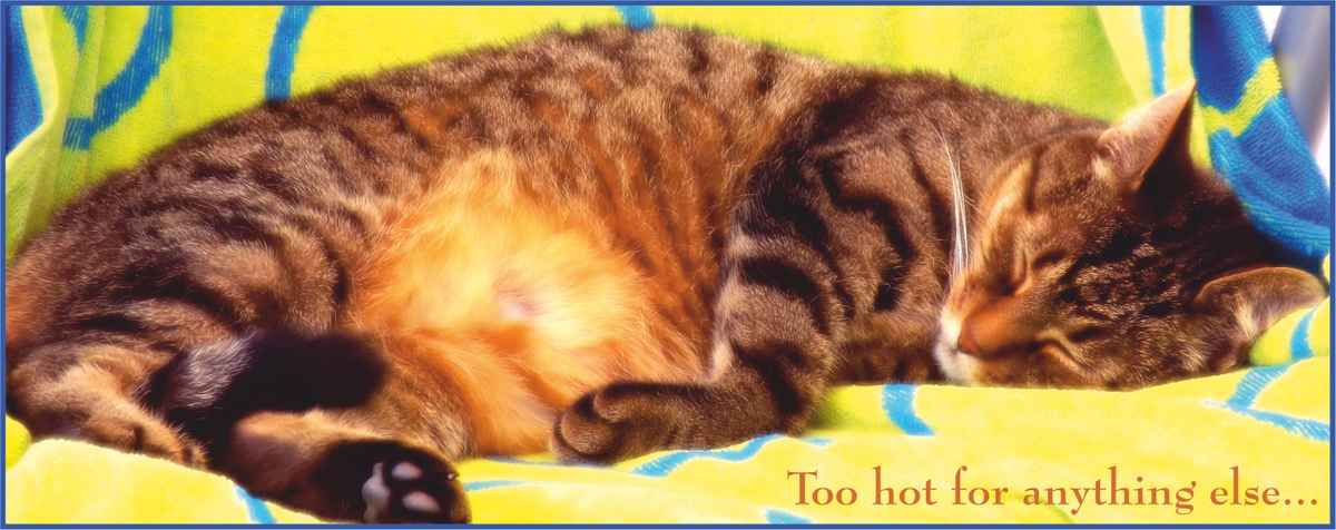 Too Hot