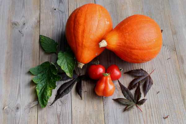 Herbstzeit ist Kürbiszeit