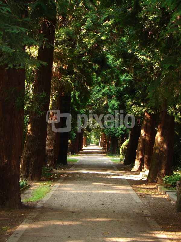 Allee in die Unendlichkeit