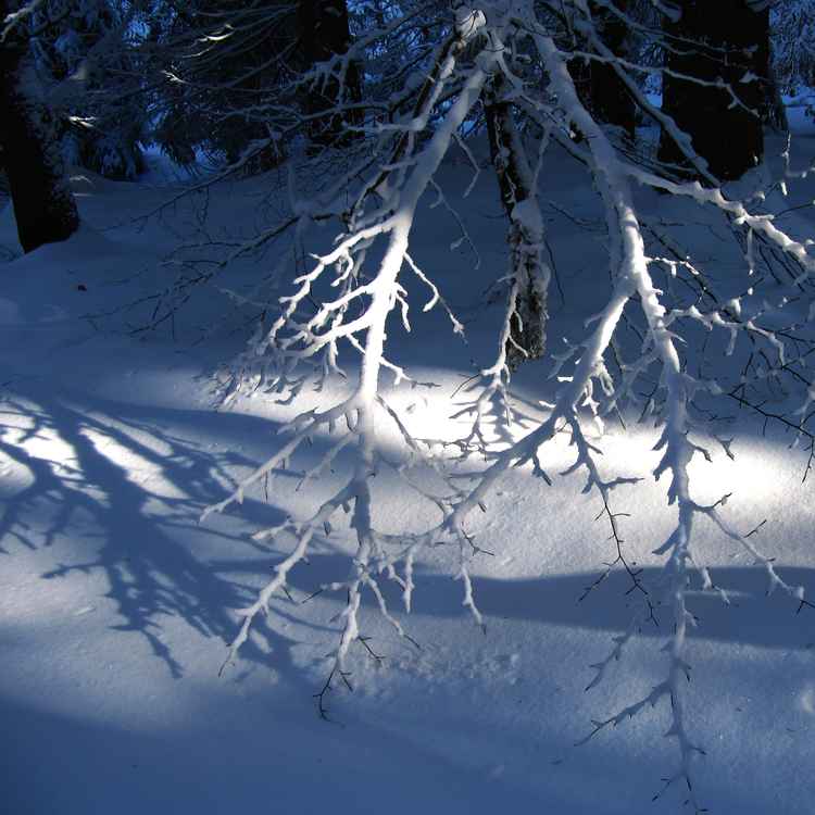 Schatten im Schnee